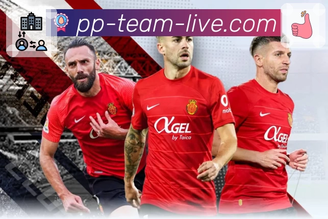 pp体育 pp体育 平台生态示意图